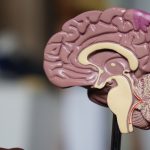 Farmacias y productos naturales: como competir en linea con las grandes cadenas