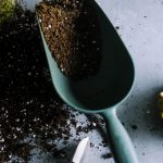 Plantas y jardineria online: el negocio verde que esta conquistando el ecommerce