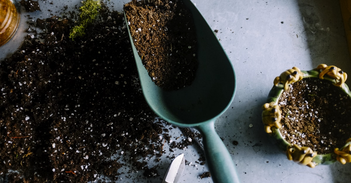Plantas y jardineria online: el negocio verde que esta conquistando el ecommerce